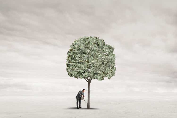 Man watering the money tree