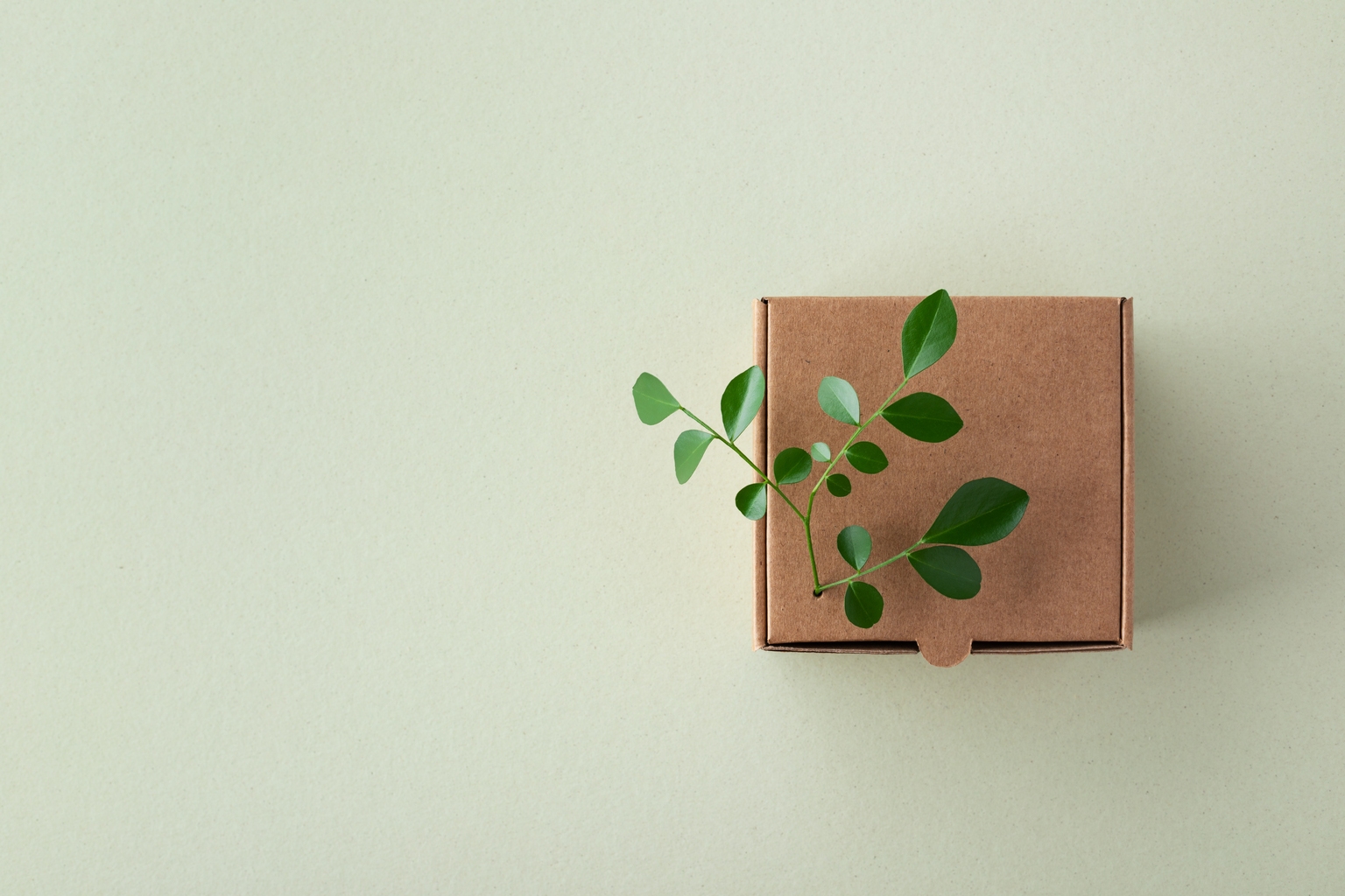 Graphic Packaging: Strategic Acquisition And Investment Will Drive Margin (NYSE:GPK) Graphic Packaging: Strategic Acquisition And Investment Will Drive Margin (NYSE:GPK)
