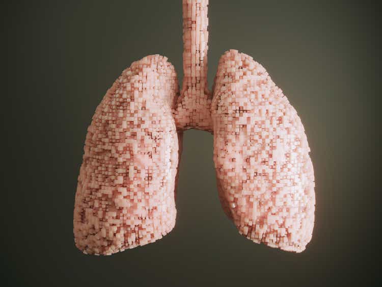 Human lungs with cubes