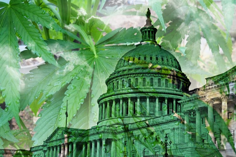Legalization of Marijuana