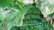 Marijuana banking makes it into House appropriations bill markup article thumbnail