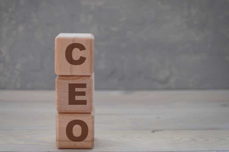 CEO Words on Wooden Block