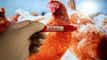 Moderna, BioNTech close with double-digit percentage gains amid bird flu fears article thumbnail