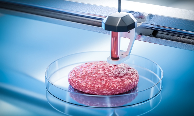 Beef meat 3d printing concept. Hamburger cutlet shape - New technologies for meat production. 3d render