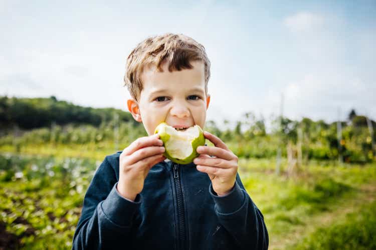 Portrat Of Young Boy Eating Apple On Farm