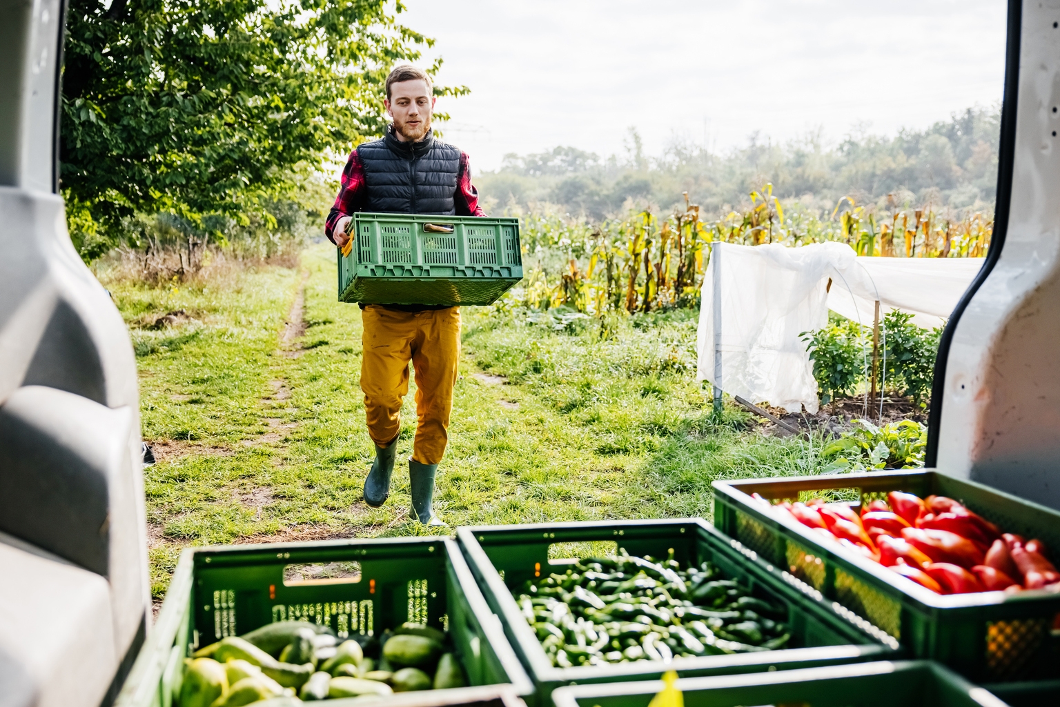 Sprouts Farmers Market: Moving Fast In The National Grocery Business (NASDAQ:SFM)
