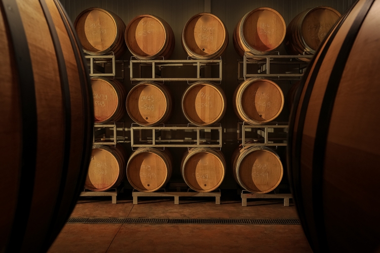 Metavesco, Native Alternative Spirits kind JV as takeover bid fails (Pink Present Information:MVCO)