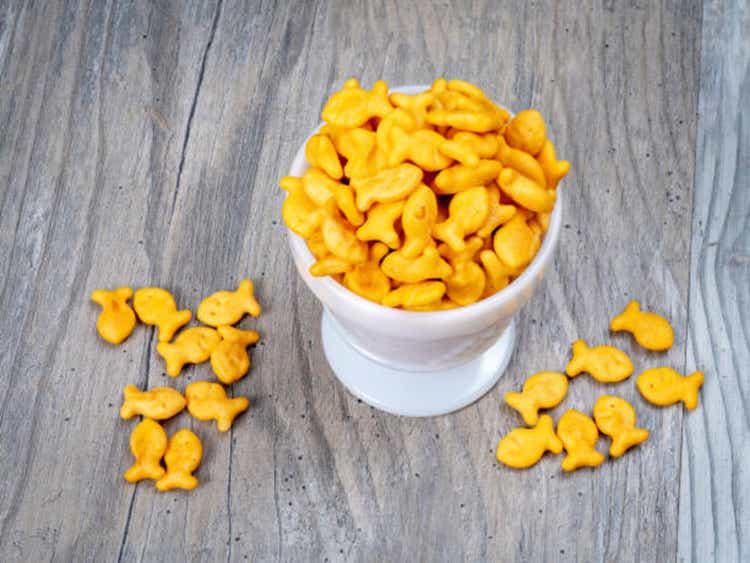 Orange cheddar flavored soup crackers in a white bowl