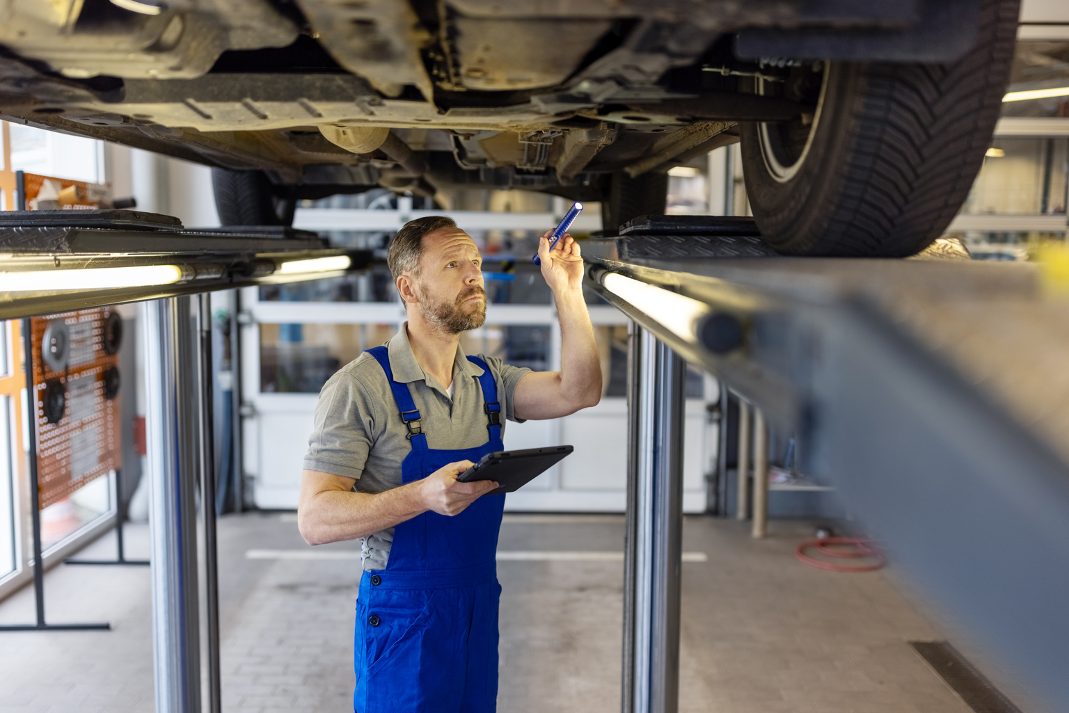 seekingalpha.com - Redfox Capital Ideas - Advance Auto Parts: Positive Green Shoots, But Recovery Is Still In Early Innings (AAP)