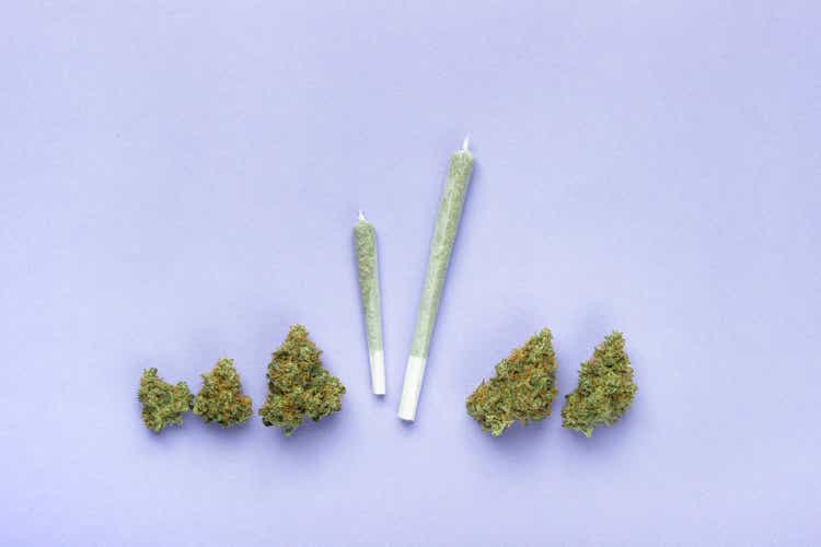 Two joints of different sizes made of transparent white paper lie among dry buds of medical marijuana. On a lilac background, copy space