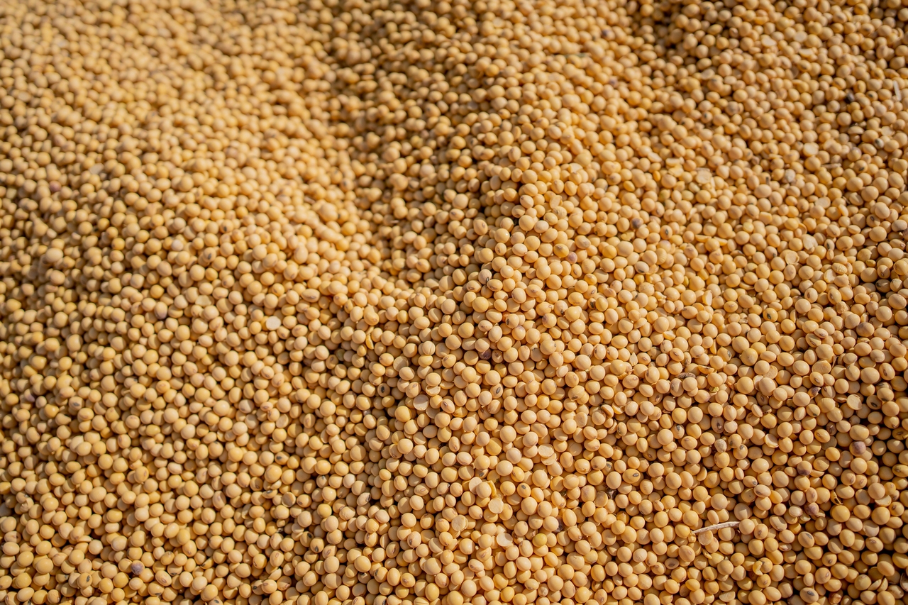 Teucrium Soybean ETF The Long And The Short Of It (NYSEARCASOYB