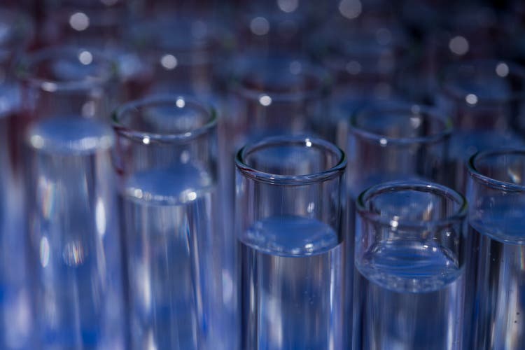 Glass test tubes filled with liquid on rack for an experiment in science research lab