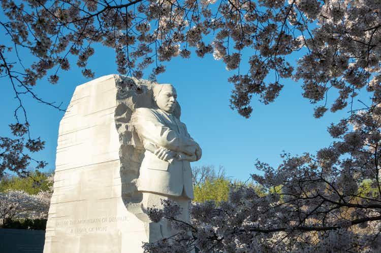 MLK memorial during peak bloom cherry blossom. .