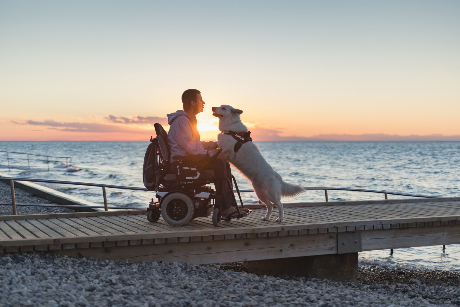 Dyne Therapeutics’ Muscular Dystrophy Data: Early Promise, Caution Needed