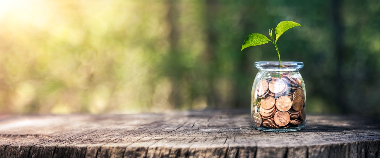 The Ithaka Group Q1 2026 Commentary