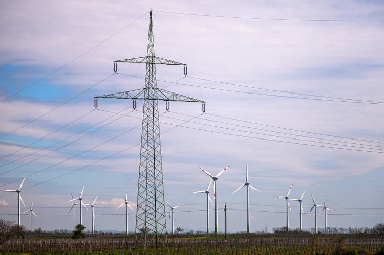 Wind power plant. Sustainable energy production.