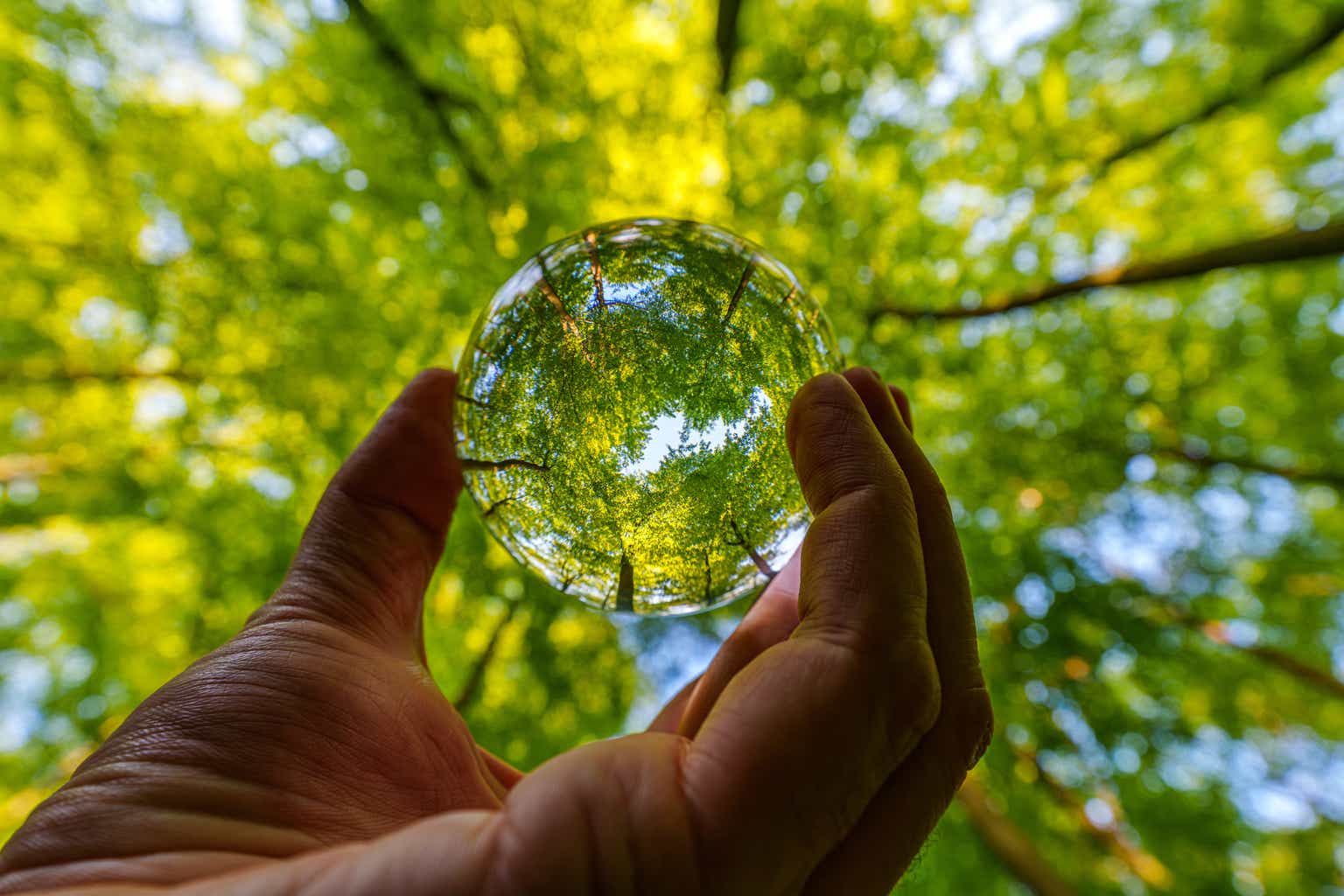 Investing Groups Roundtable: Tariff Policy Impact - Part 2