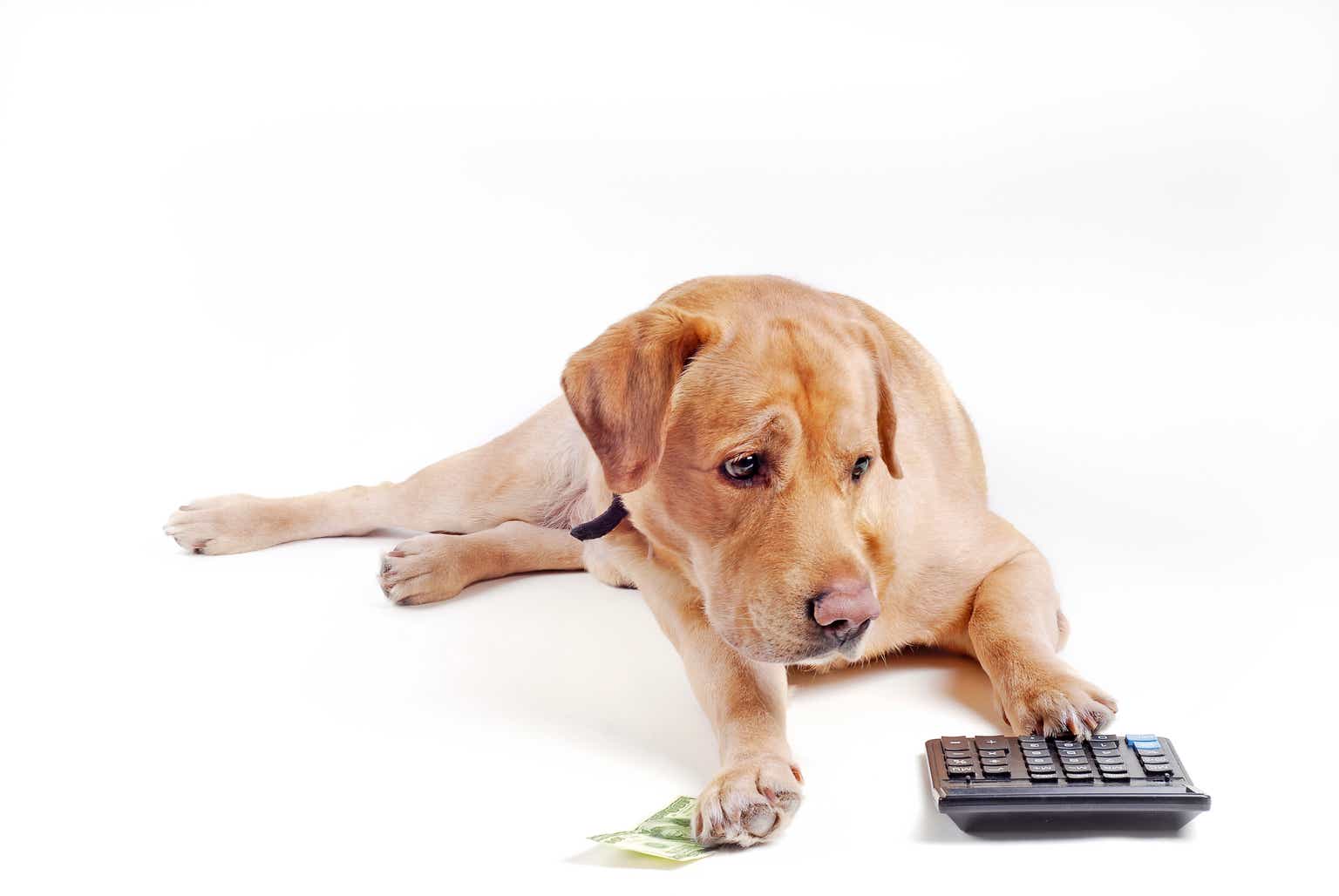 The Fed Holds Rates, I Hold Cash: 2 Funds I'm Buying
