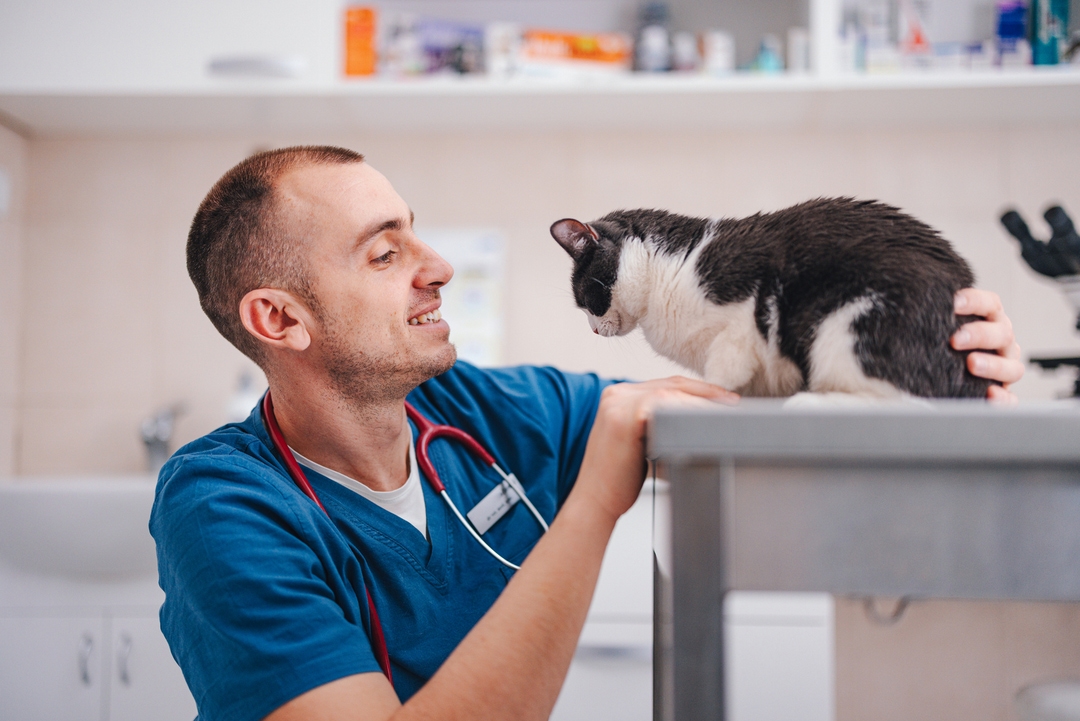 PetMed Express Another Tough Year (NASDAQPETS) Seeking Alpha