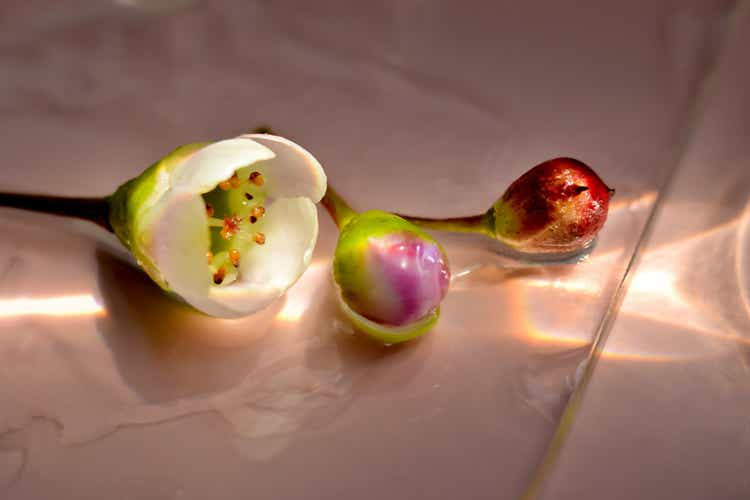 A drop of cosmetic gel with a flower on a pink background.