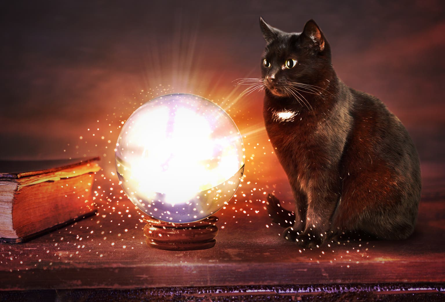3 Market Predictions For June