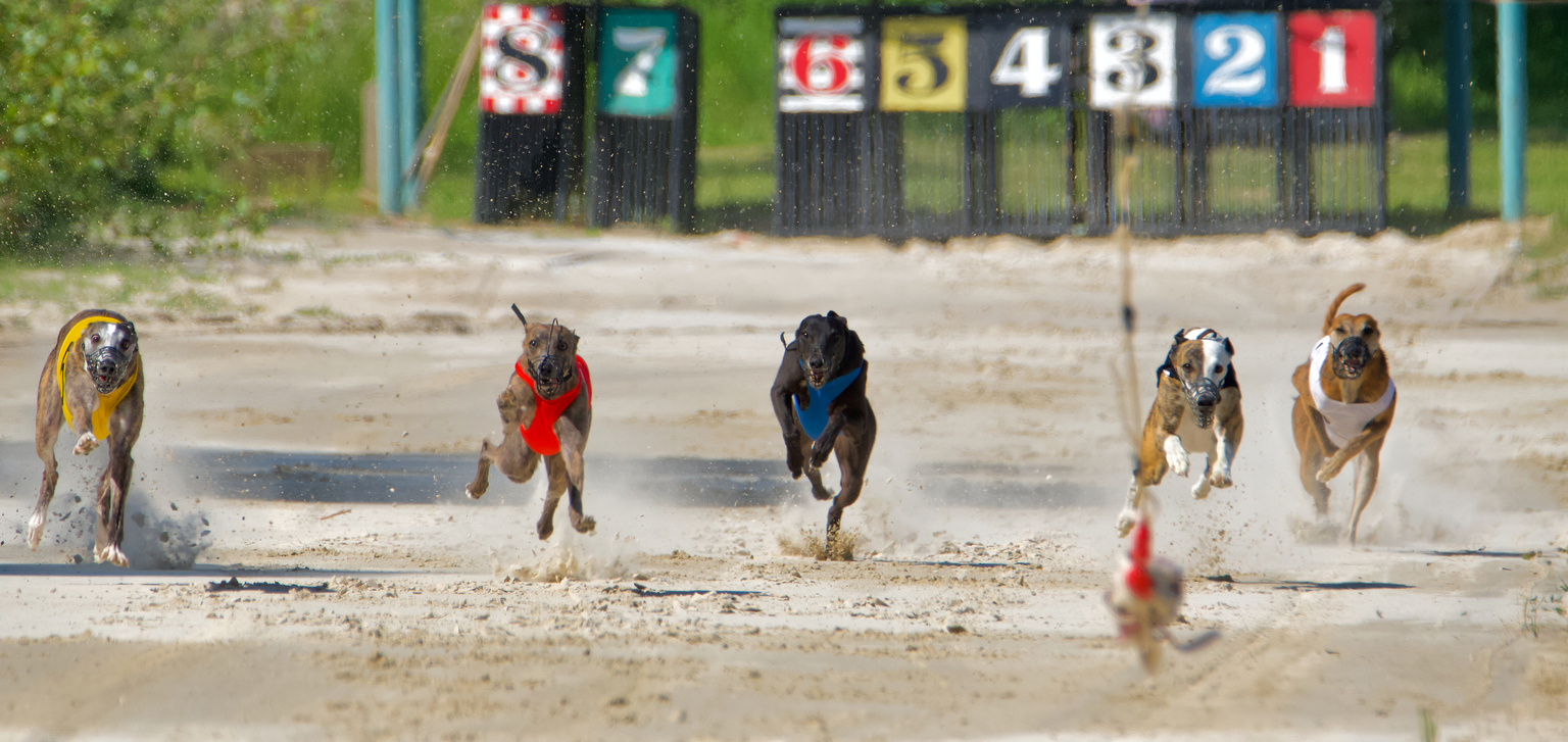 seekingalpha.com - Louis Liu - Eli Lilly: A Wonderful Company, But A Stock Priced For Perfection (NYSE:LLY)