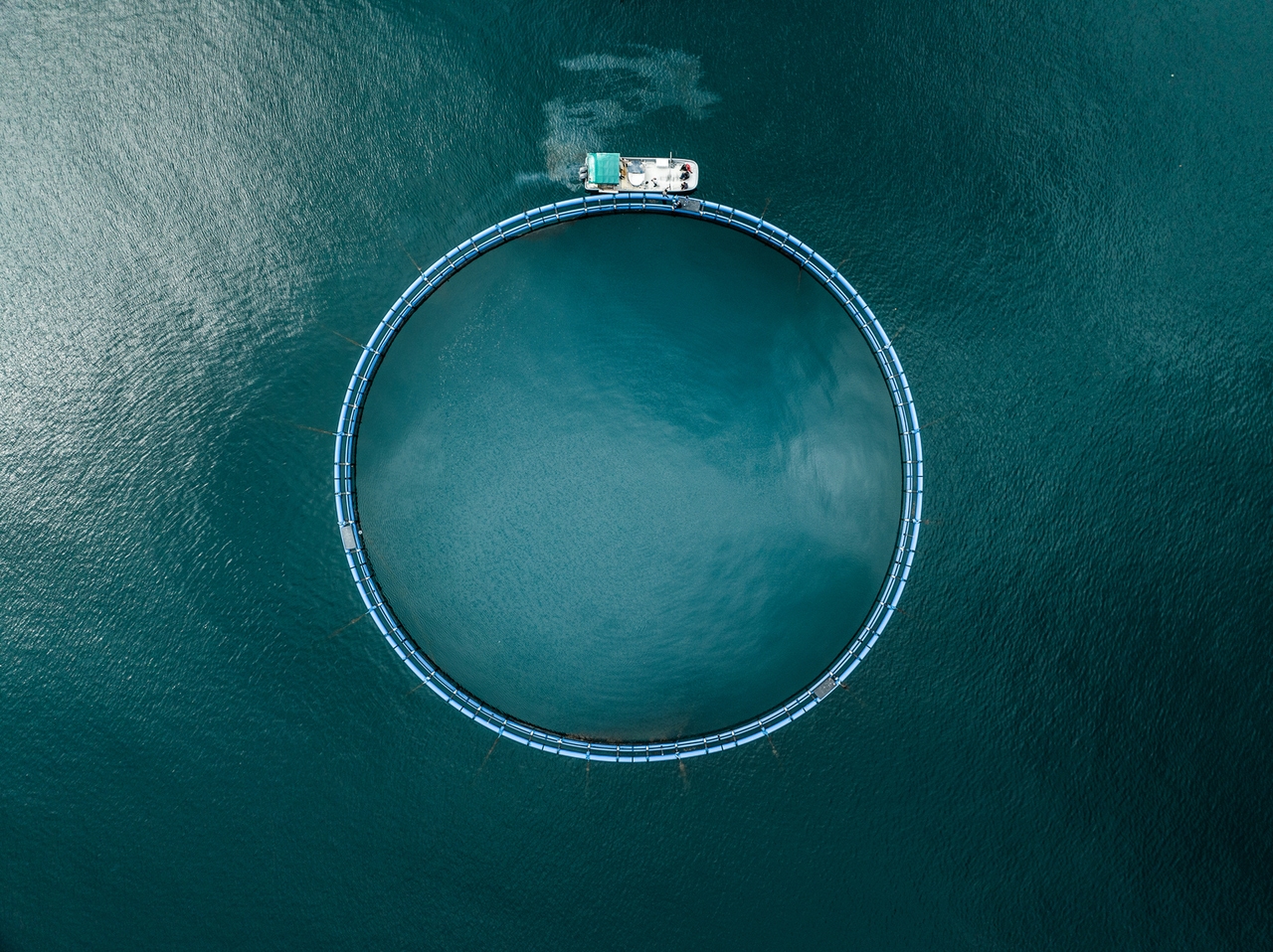 Xylem: Fundamentals Are Not Bad, But I Still Don't See A Bargain