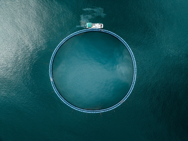 Xylem: Fundamentals Are Not Bad, But I Still Don't See A Bargain (NYSE:XYL)