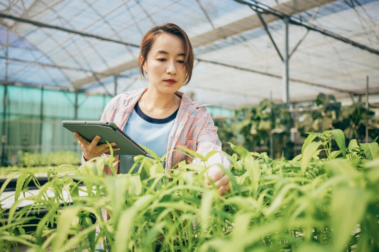 the-week-ahead-watch-list-watch-now-buy-later-price-targets-added