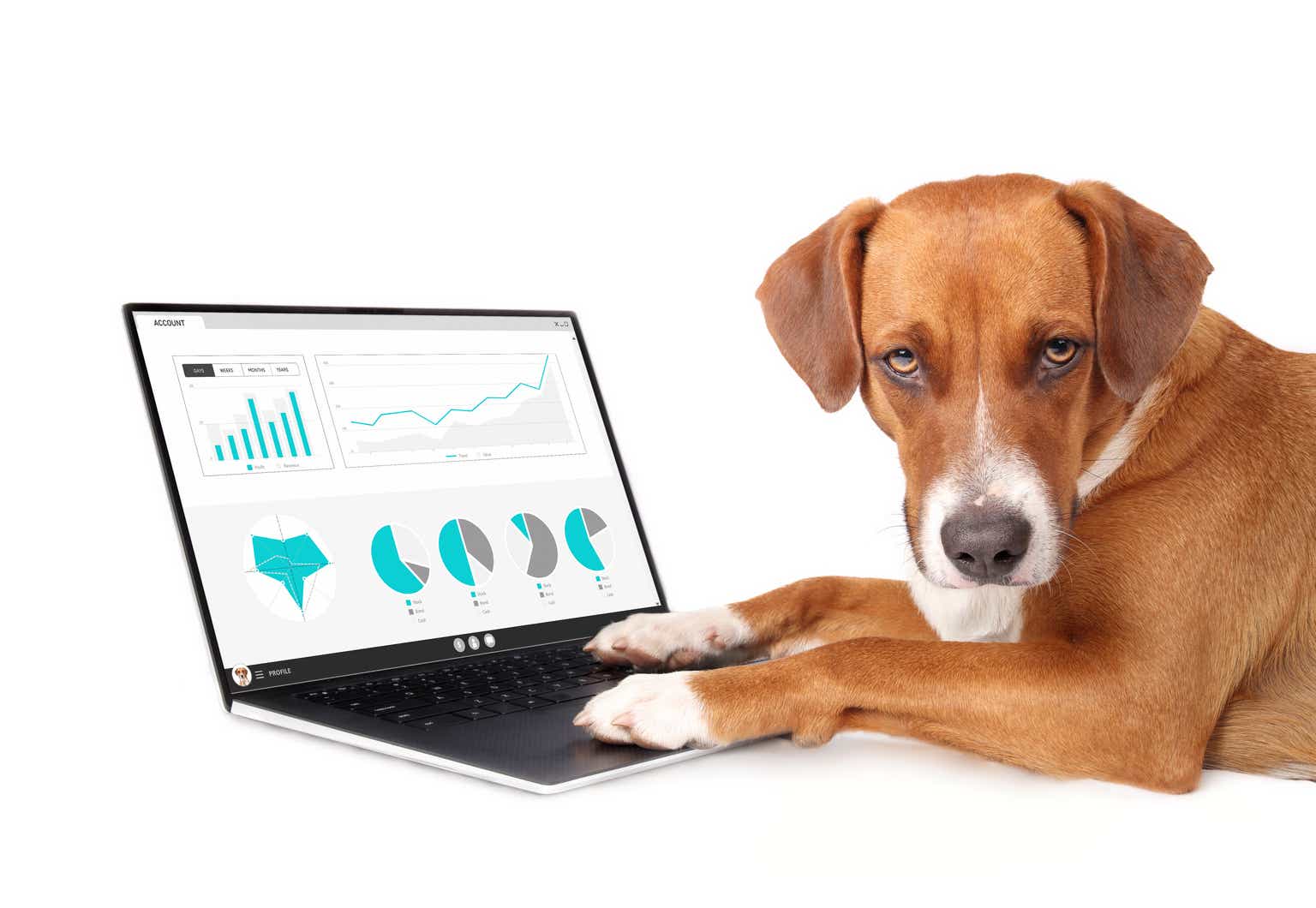 100 Sustainable Dividend Dogs: 18 "Safer", 4 Ideal May Buys