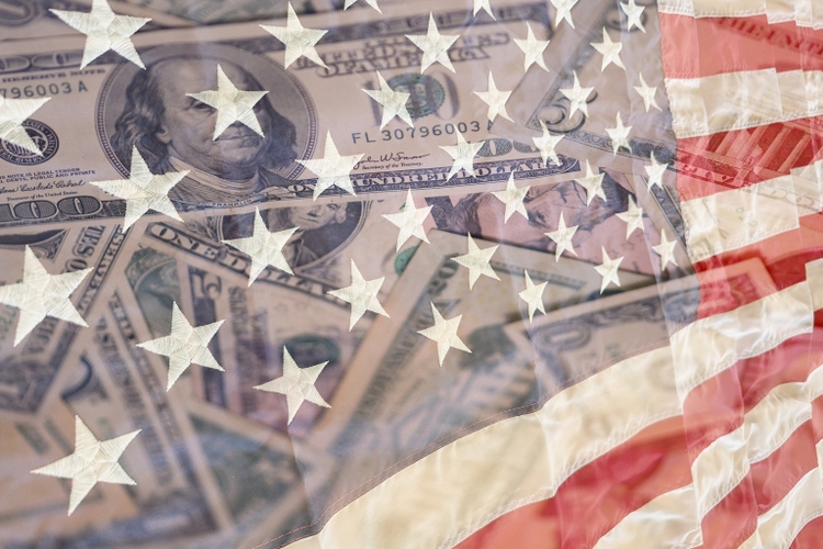 Capitalism and Politics