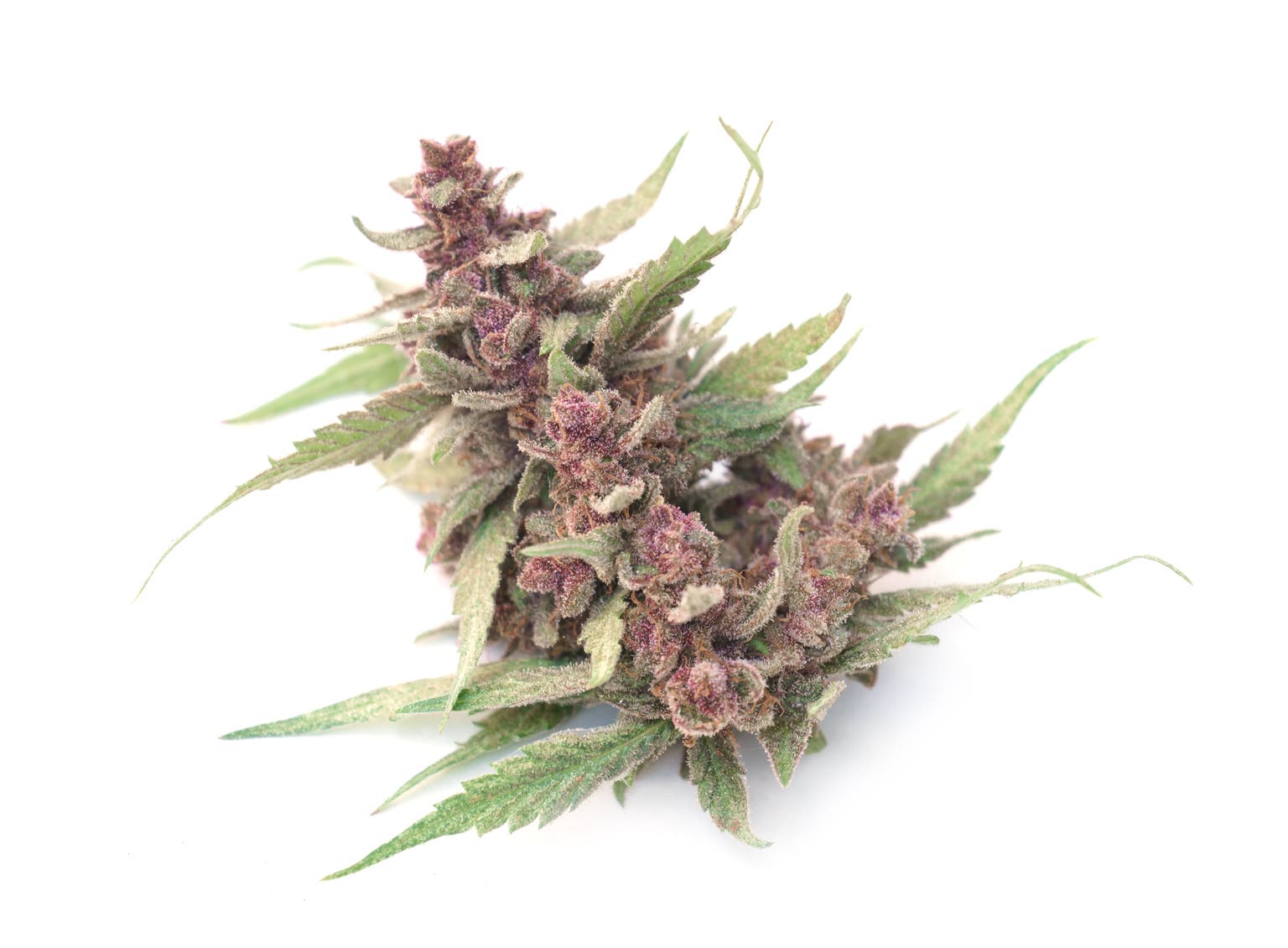 Green Thumb Industries Reports Strong Q1-2025 Results But Sector Remains Weak