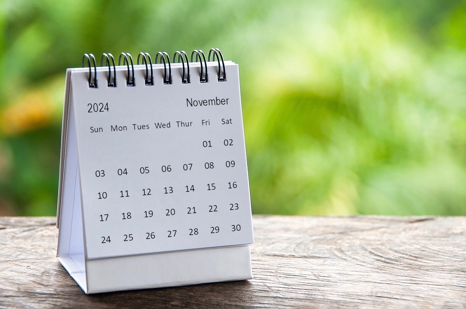 11 Closed-End Fund Buys In The Month Of November 2024