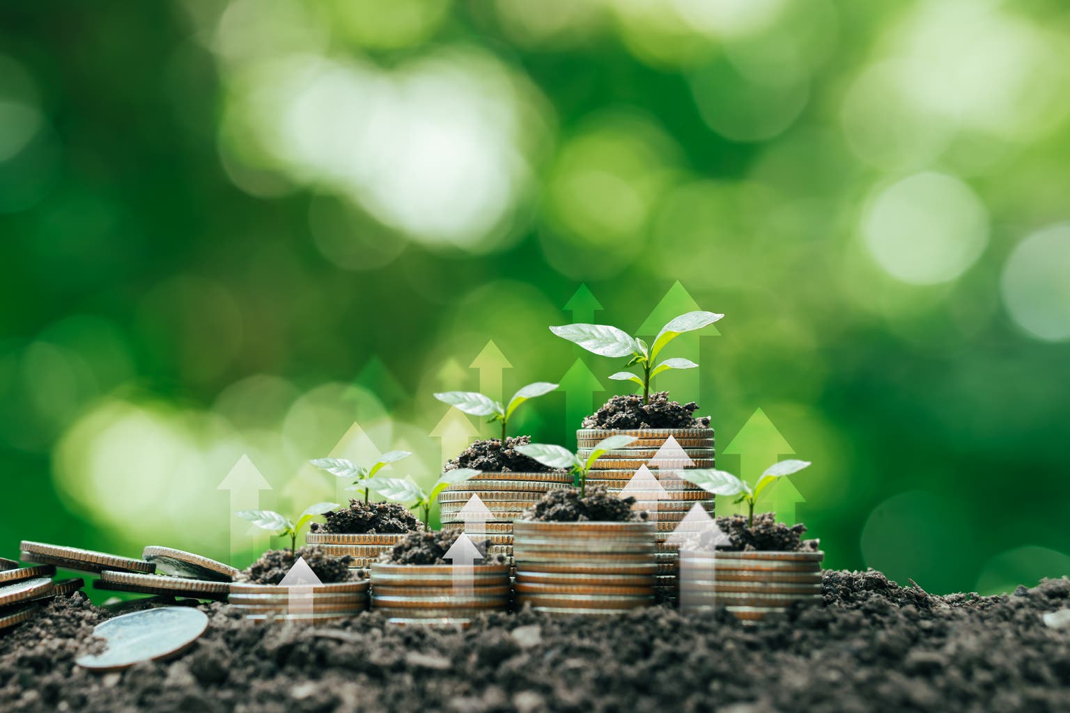 Madison Sustainable Equity Fund Q3 2024 Investment Strategy Letter Madison Sustainable Equity Fund Q3 2024 Investment Strategy Letter