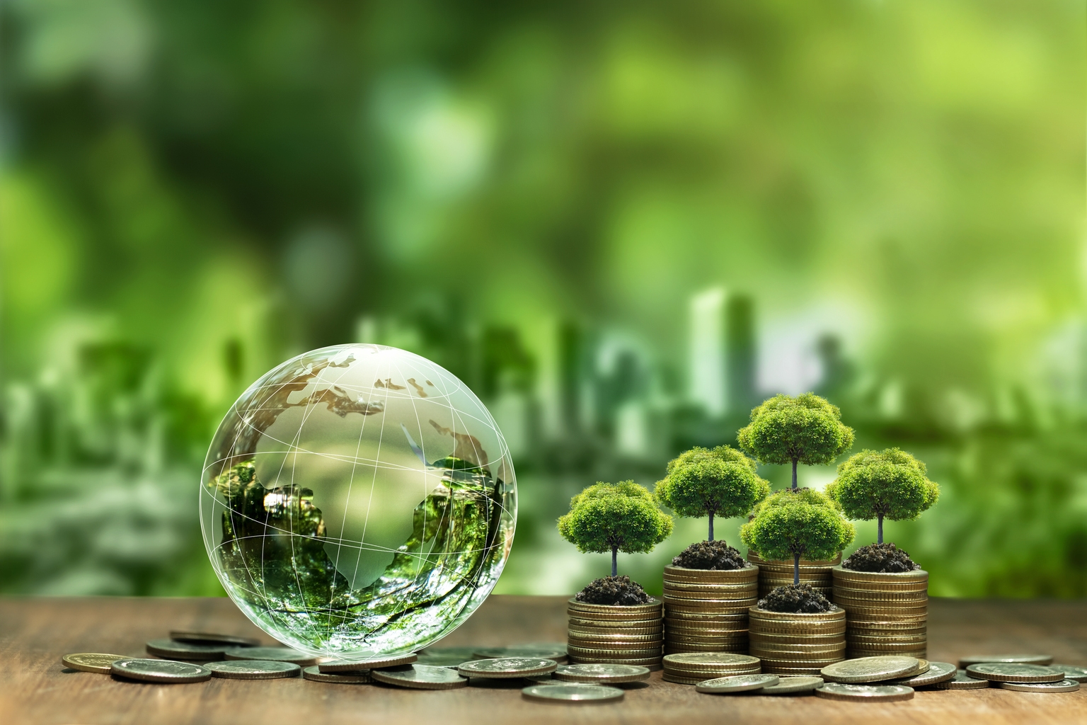 Shelton Sustainable Equity Fund Q2 2024 Commentary