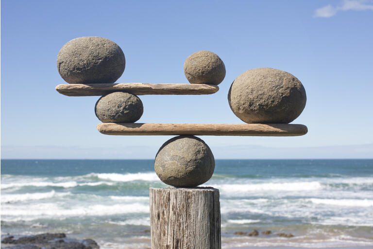 Rocks balancing on driftwood, sea in background