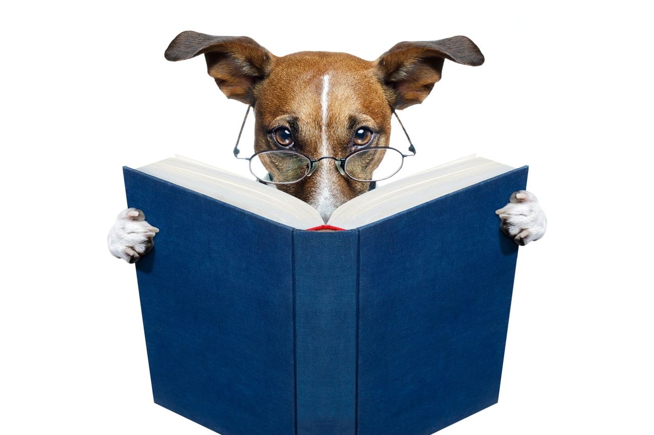 Buy 5 Ideal 'Safer' Dividend Dogs Of 40 March ReFa/Ro