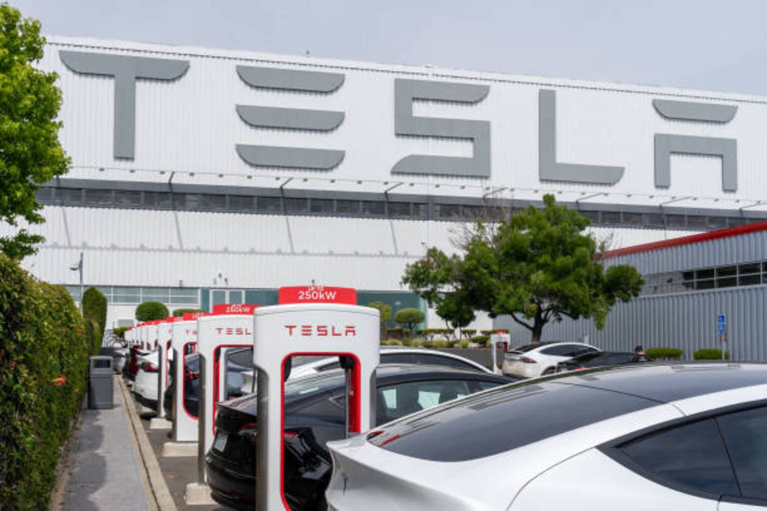 Tesla: The Actual Downside Is A Quickly Deteriorating EV Enterprise (NASDAQ:TSLA) Tesla: The Actual Downside Is A Quickly Deteriorating EV Enterprise (NASDAQ:TSLA)