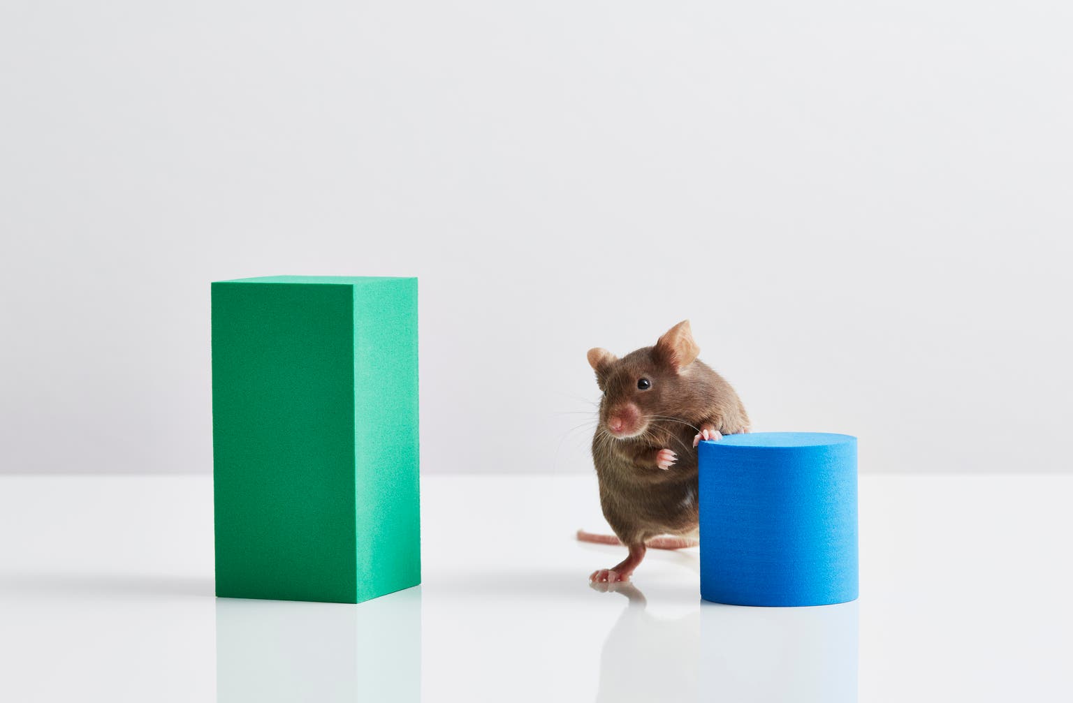Biotech Looks Ready To Run, But ETFs, Which One? IBB Vs. XBI