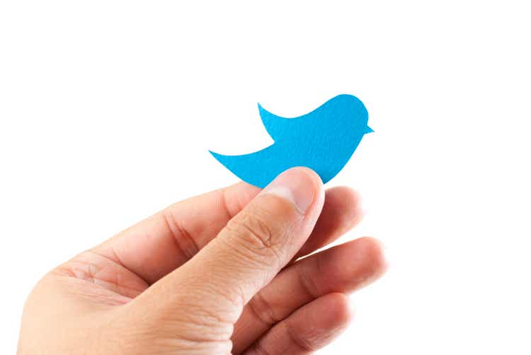 Hand holding paper bluebird on white isolated. Social media concept.