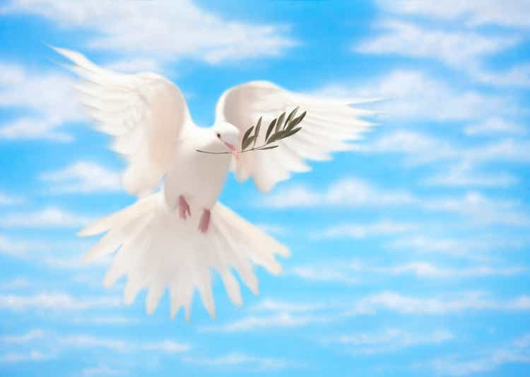 White Dove of Peace With Olive Branch