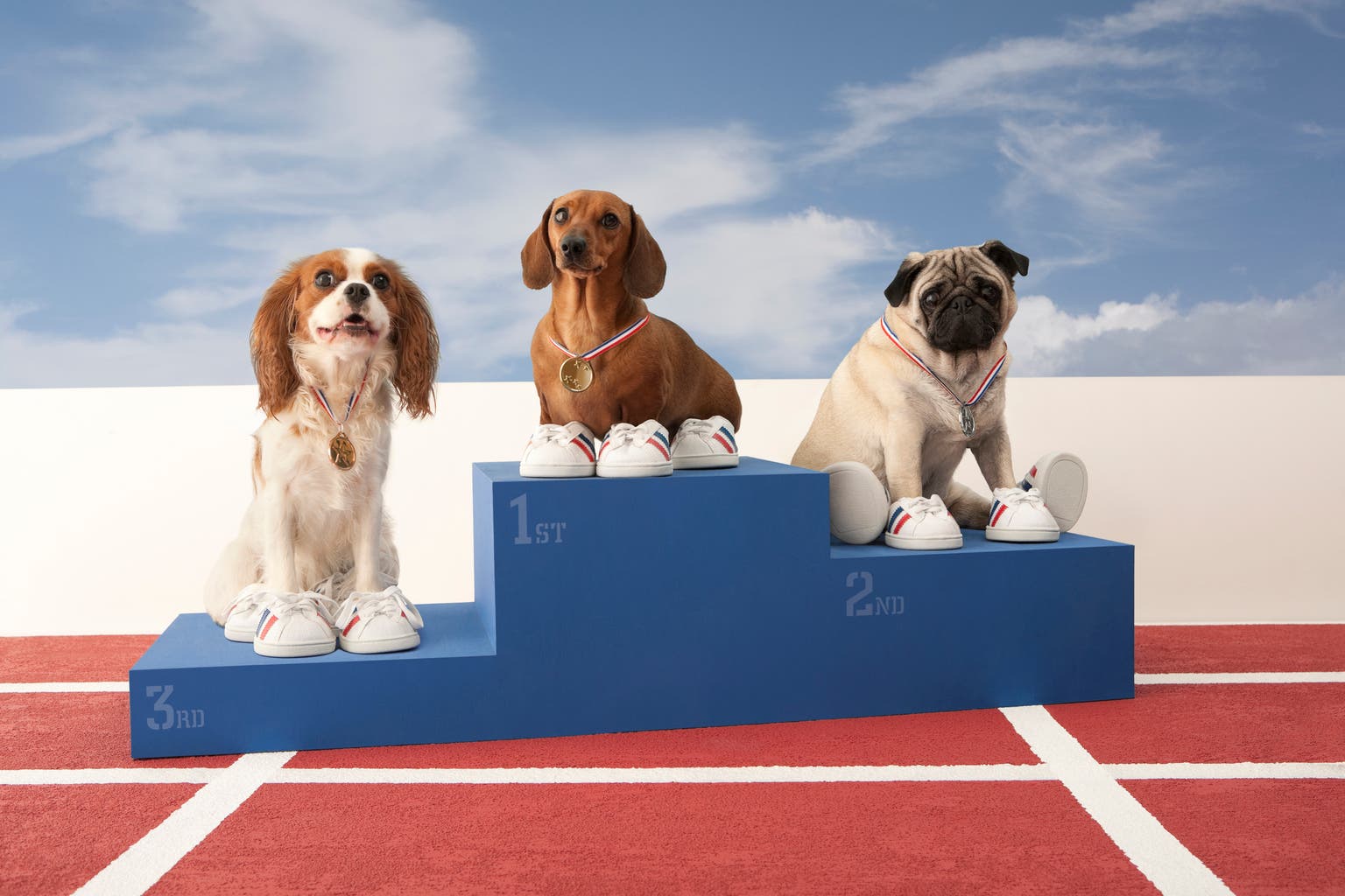 June's Dividend Kings: 3 Ideal Buys In 25 "Safer" Dogs