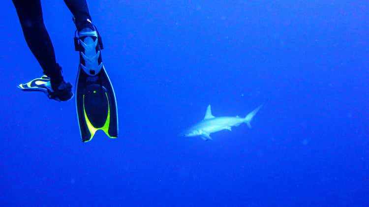 Diver and shark