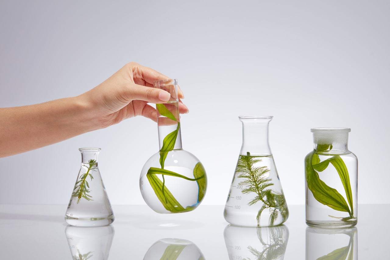 Darling Ingredients Stock: A Deep Dive Into Q3 Performance And Q4 