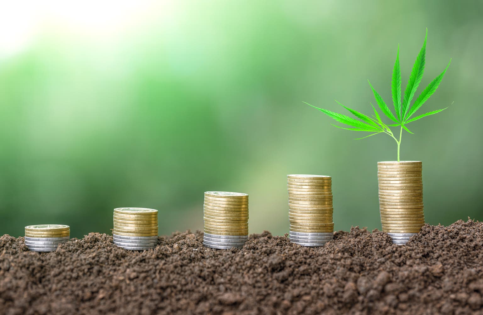 Aurora Cannabis: Poised For Its First Profitable Year
