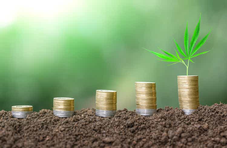 Cannabis plant growing In Savings Coins stack on the soil.Marijuana growing business concept. Finance And investment growing up and saving concept. Healthcare/Medical Growing Concept