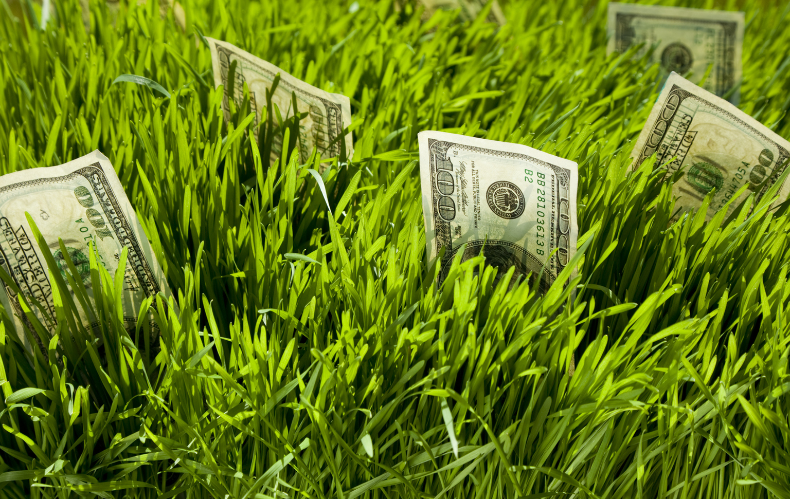 Зелень деньги