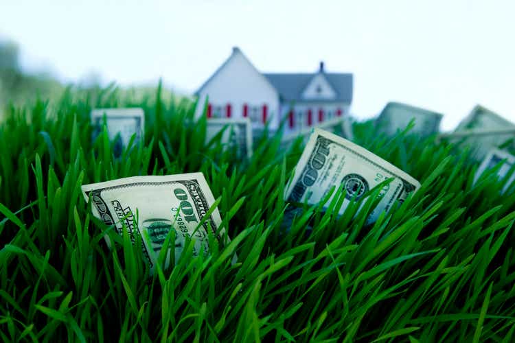 money growing on grass
