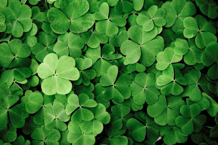 Close up of a bunch of green clover