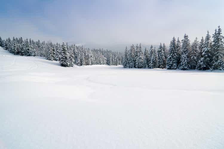 Winter Landscape with Snow and Trees